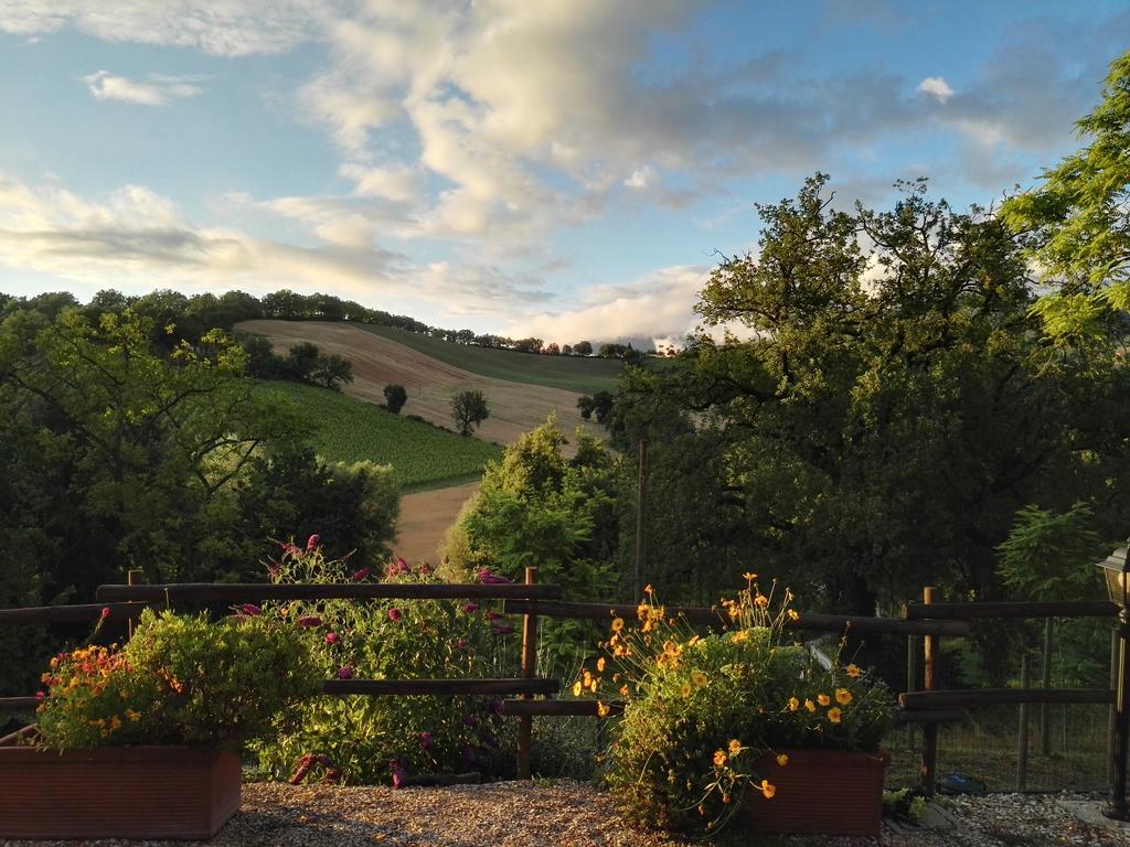 Villa Da Foschetta Matelica Esterno foto
